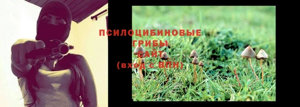 ECSTASY Верхний Тагил