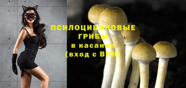 молекула духа Вязники