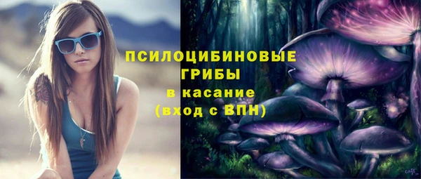 молекула духа Вязники