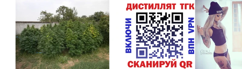 цена наркотик  ОМГ ОМГ как войти  ТГК вейп с тгк  Заречный 
