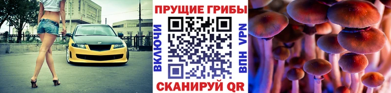где продают Заречный Псилоцибиновые грибы MAGIC MUSHROOMS
